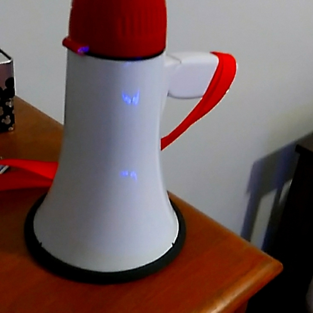 Megaphone ( D batteries are needed )